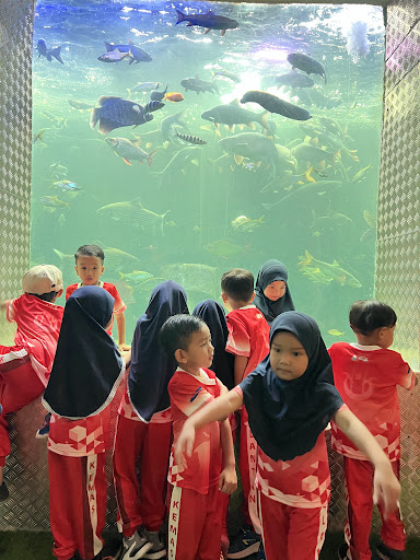 TROPICANA AQUARIUM